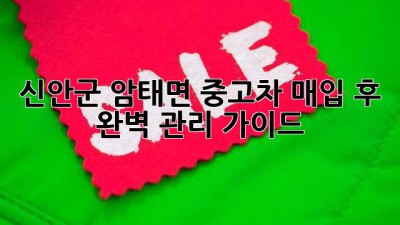 신안군 암태면 중고차 매입 후 완벽 관리 가이드